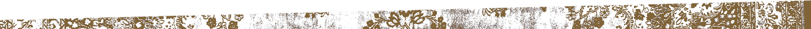 home-rug home-rug